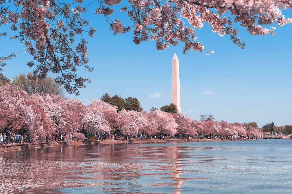 Washington D.C. Office